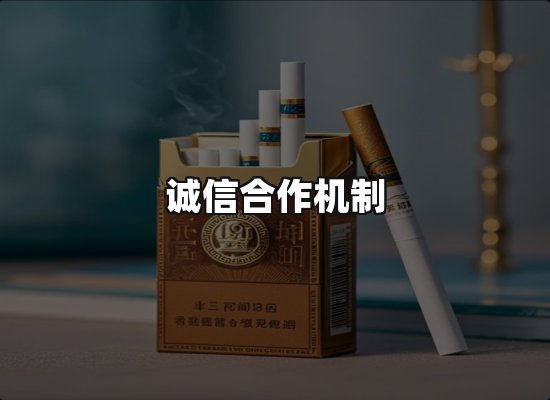 专业优势